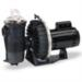 Pool Pumps